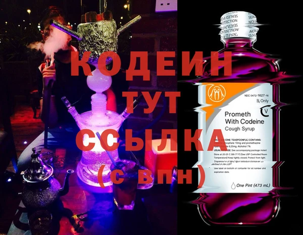 индика Алзамай
