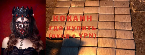 индика Алзамай