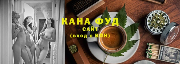 индика Алзамай