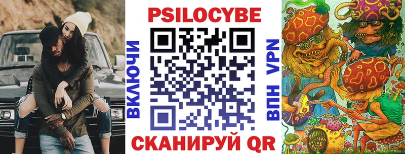 как найти   Каргат  Галлюциногенные грибы GOLDEN TEACHER 