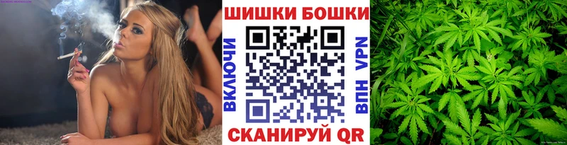 Бошки марихуана VHQ Каргат